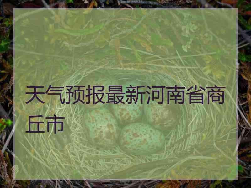 天气预报最新河南省商丘市