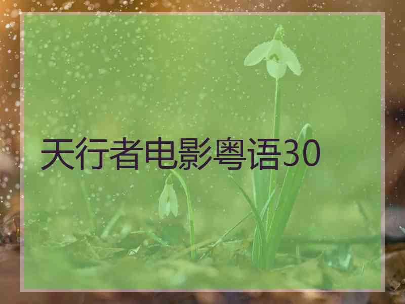 天行者电影粤语30