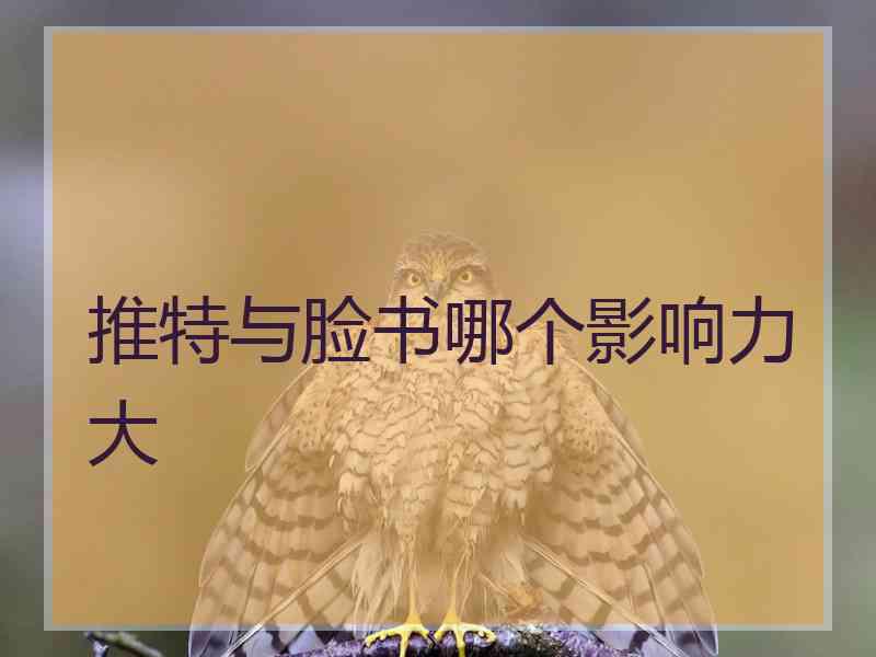 推特与脸书哪个影响力大