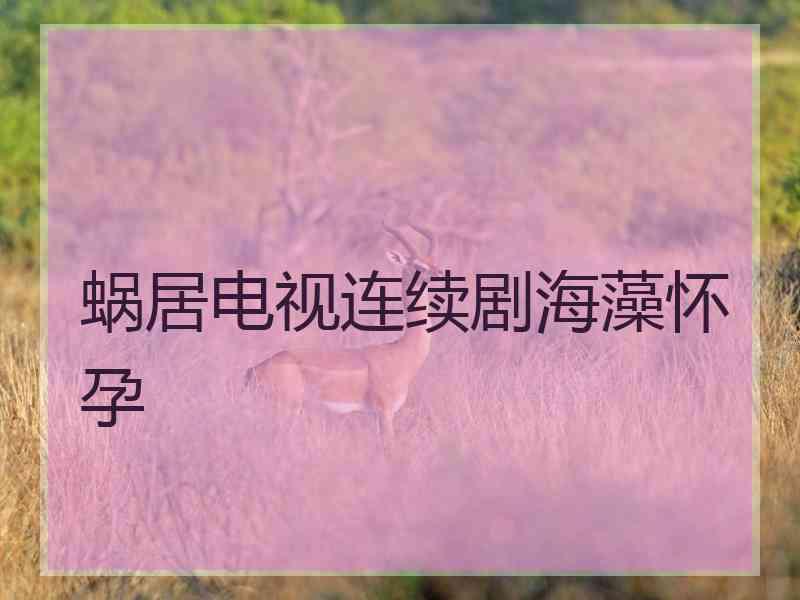 蜗居电视连续剧海藻怀孕