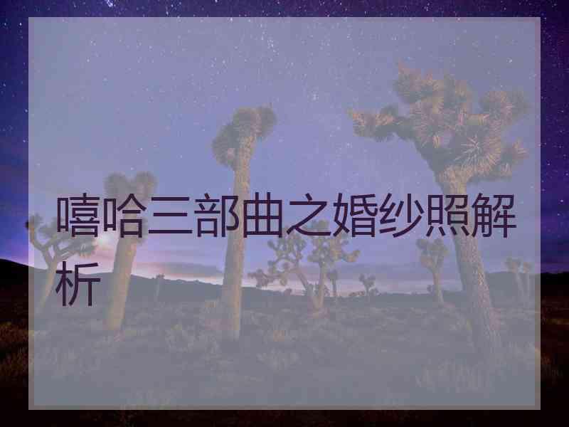 嘻哈三部曲之婚纱照解析