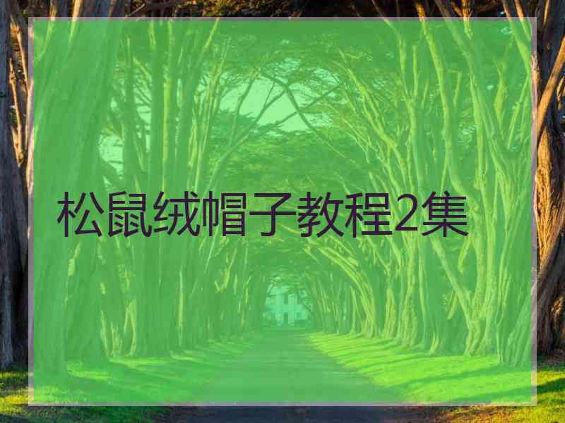 松鼠绒帽子教程2集