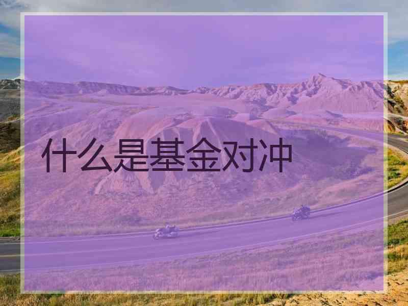 什么是基金对冲