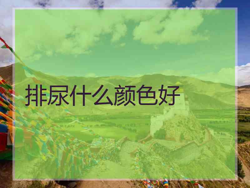 排尿什么颜色好