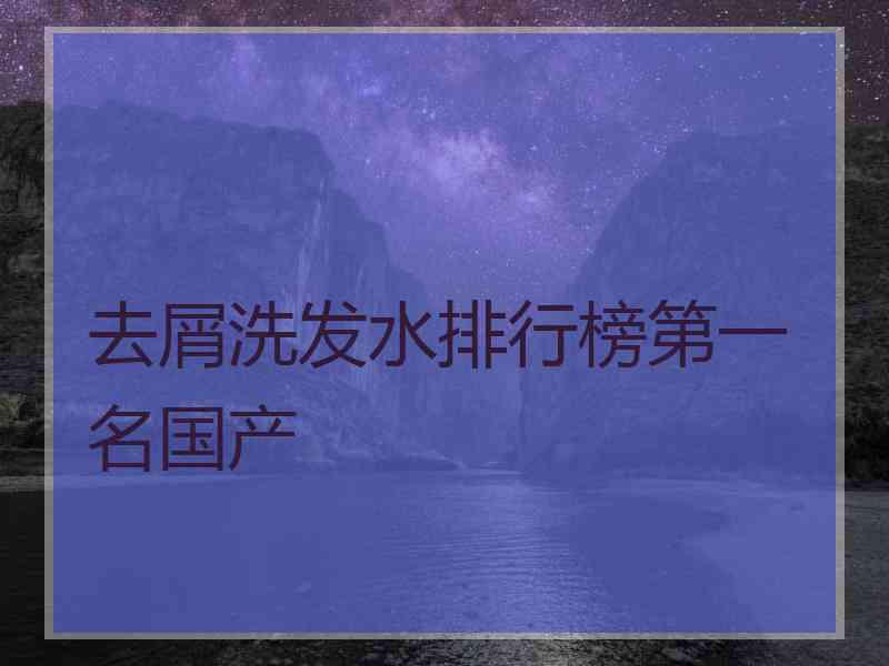 去屑洗发水排行榜第一名国产