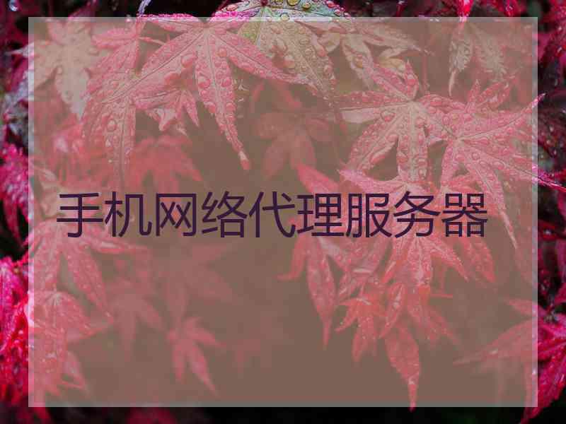 手机网络代理服务器