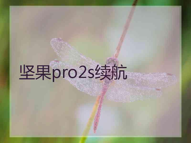 坚果pro2s续航