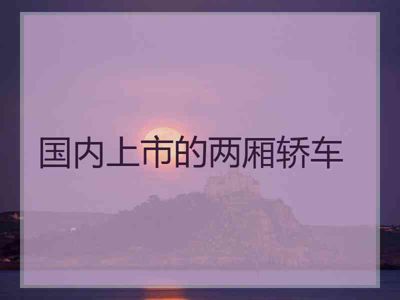国内上市的两厢轿车