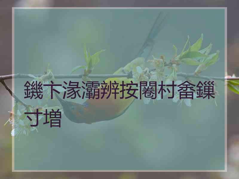 鐖卞湪灞辨按闂村畬鏁寸増