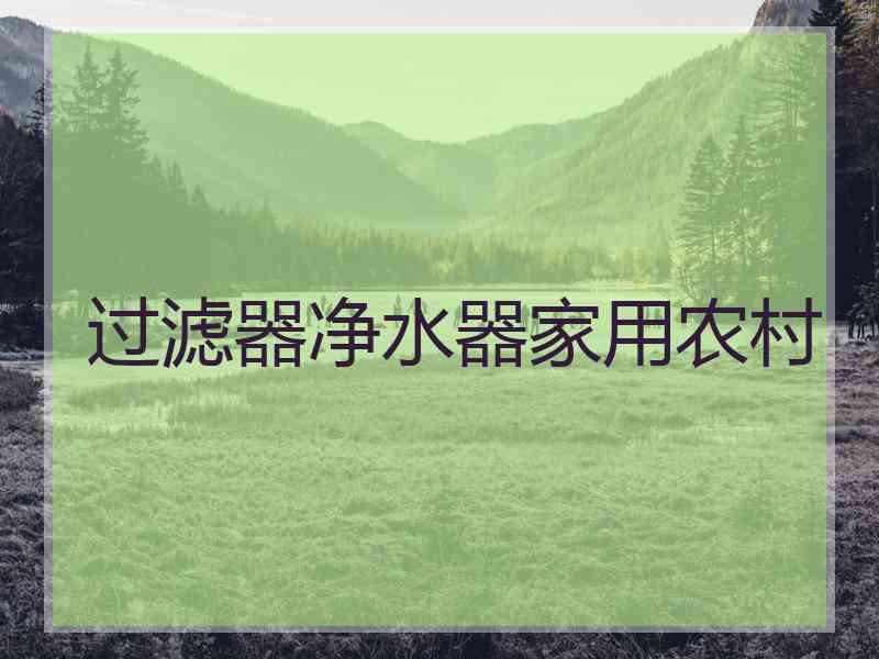 过滤器净水器家用农村