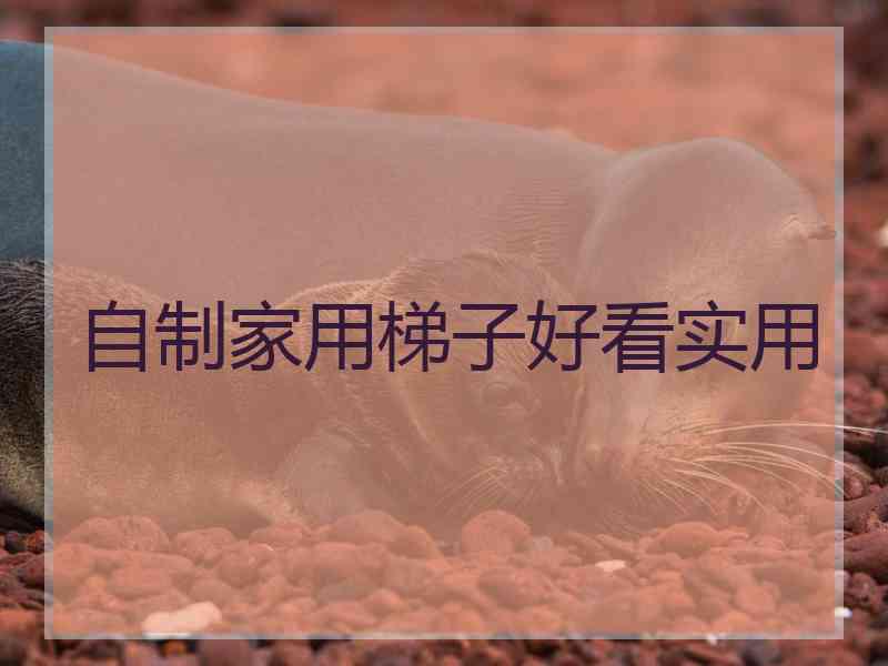 自制家用梯子好看实用