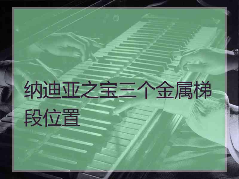 纳迪亚之宝三个金属梯段位置