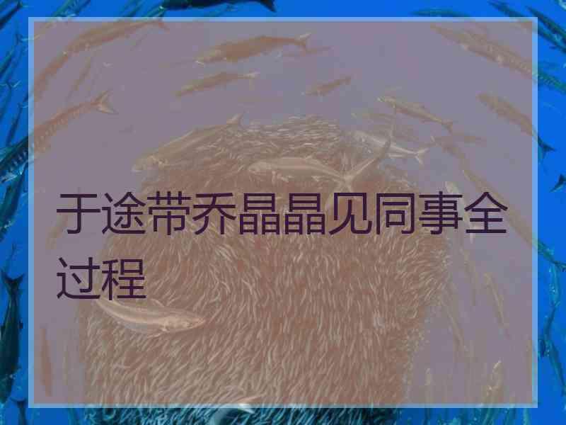 于途带乔晶晶见同事全过程