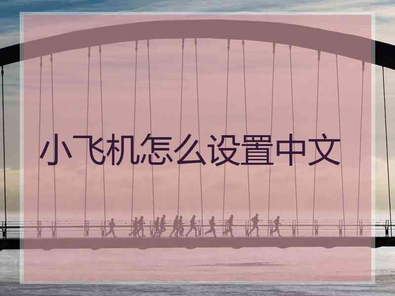 小飞机怎么设置中文