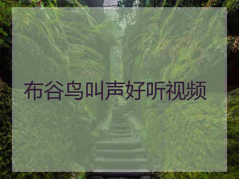 布谷鸟叫声好听视频