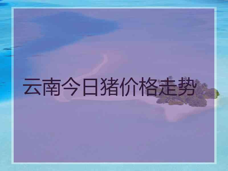 云南今日猪价格走势