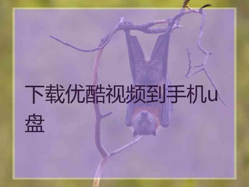 下载优酷视频到手机u盘