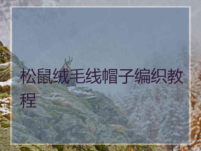 松鼠绒毛线帽子编织教程