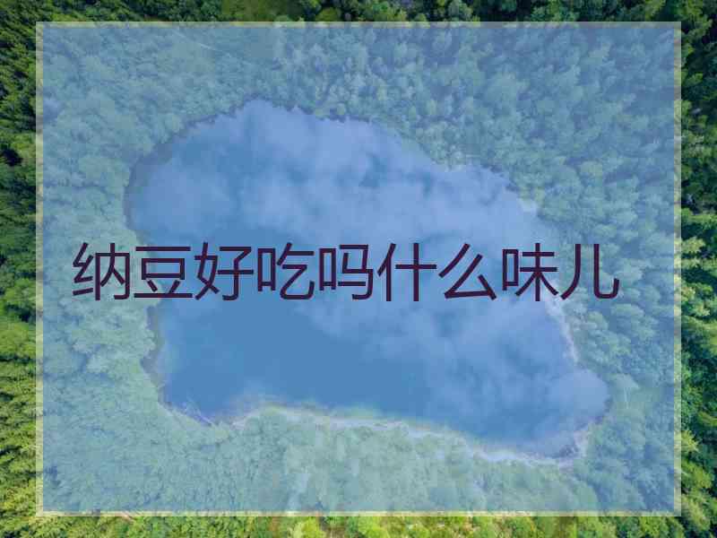 纳豆好吃吗什么味儿