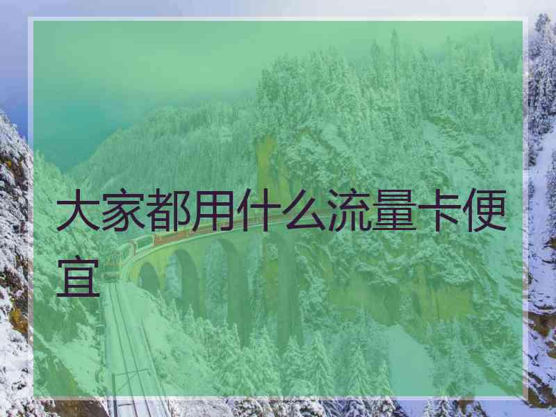 大家都用什么流量卡便宜