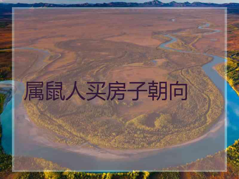 属鼠人买房子朝向
