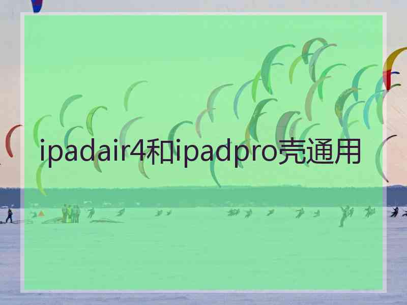 ipadair4和ipadpro壳通用