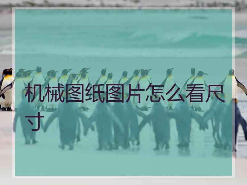 机械图纸图片怎么看尺寸