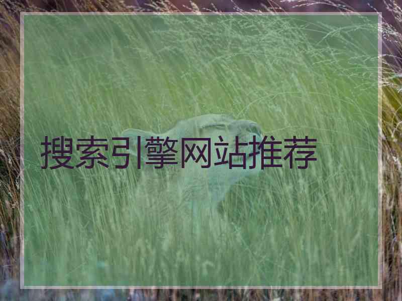 搜索引擎网站推荐