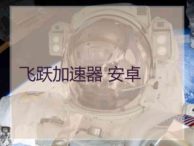 飞跃加速器 安卓