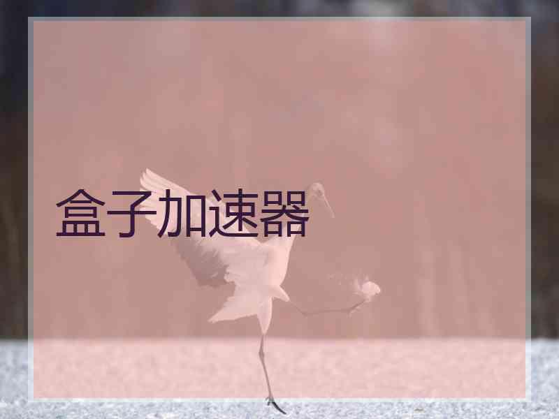 盒子加速器