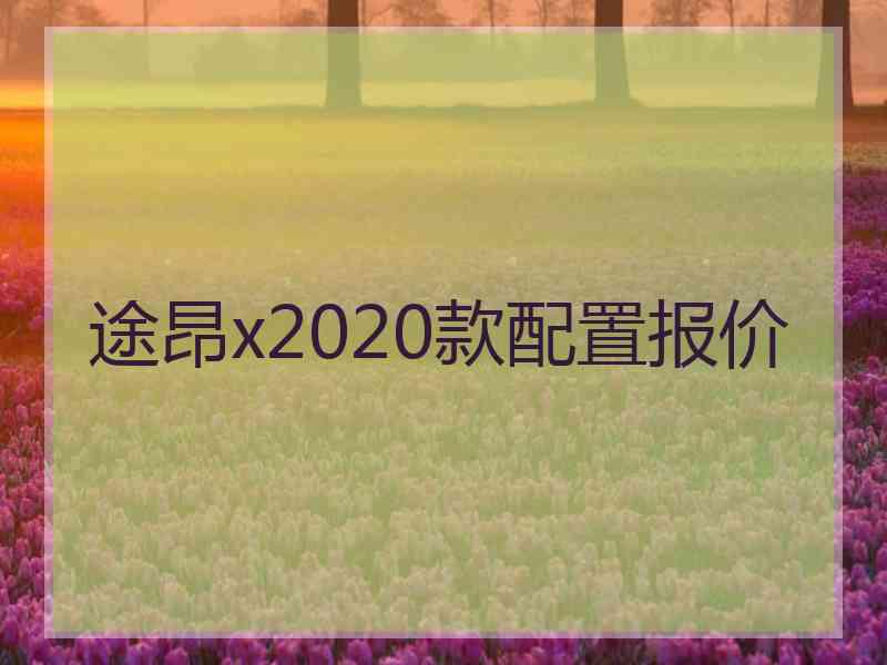 途昂x2020款配置报价