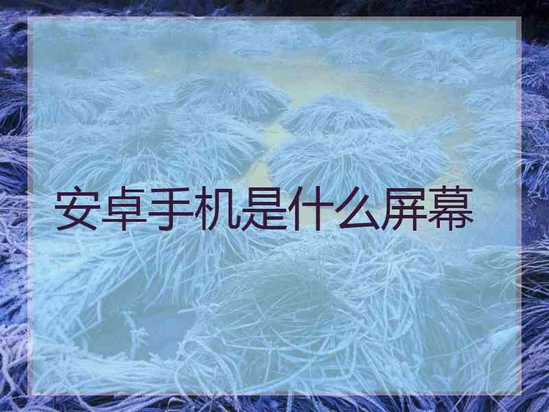 安卓手机是什么屏幕
