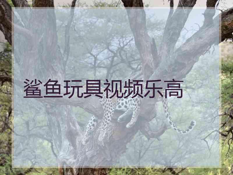 鲨鱼玩具视频乐高