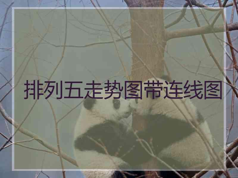 排列五走势图带连线图