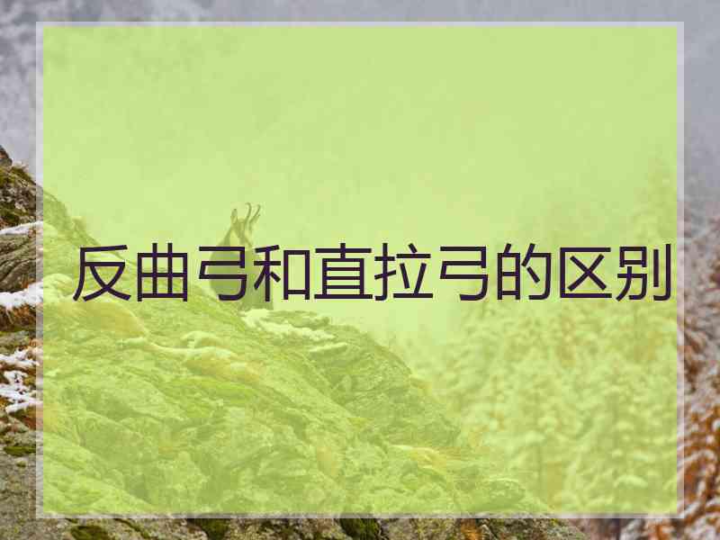 反曲弓和直拉弓的区别