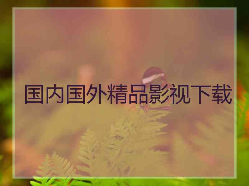 国内国外精品影视下载