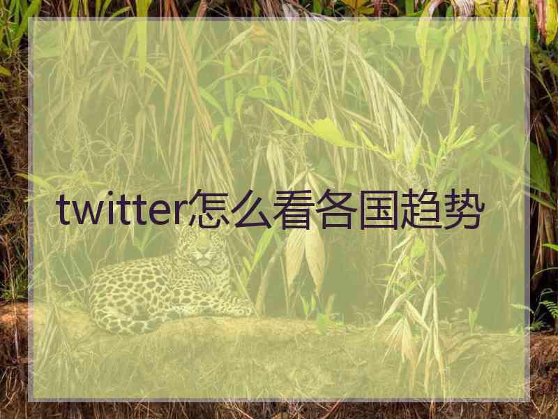 twitter怎么看各国趋势