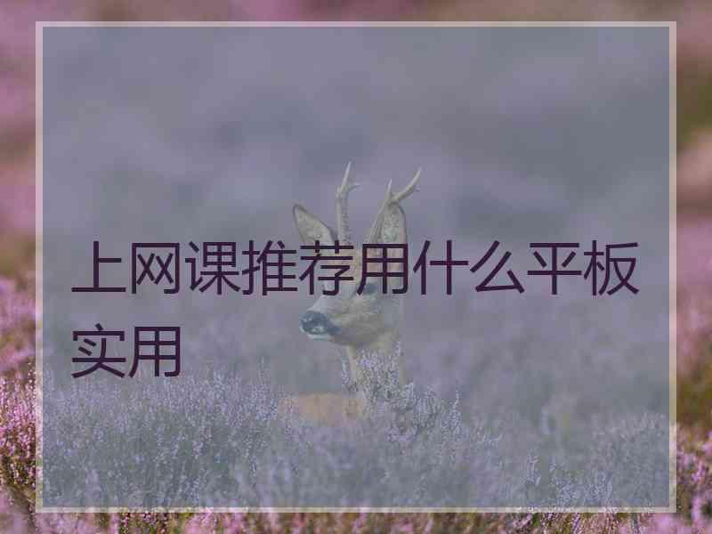 上网课推荐用什么平板实用