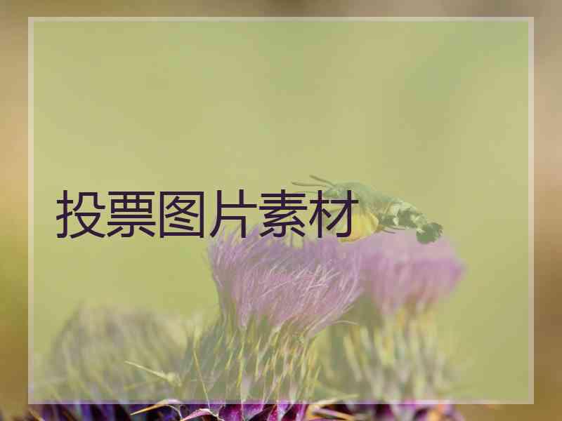 投票图片素材
