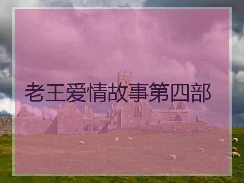 老王爱情故事第四部