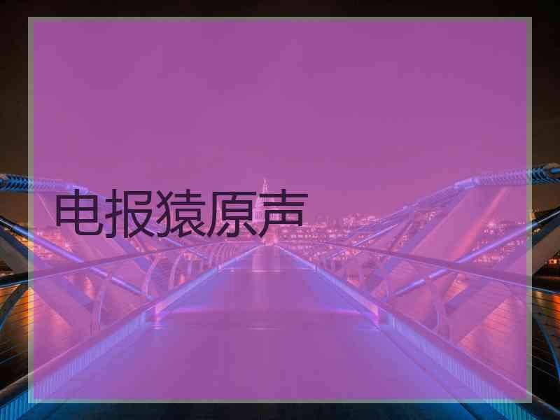 电报猿原声