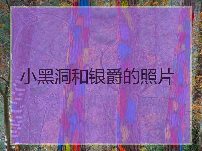 小黑洞和银爵的照片
