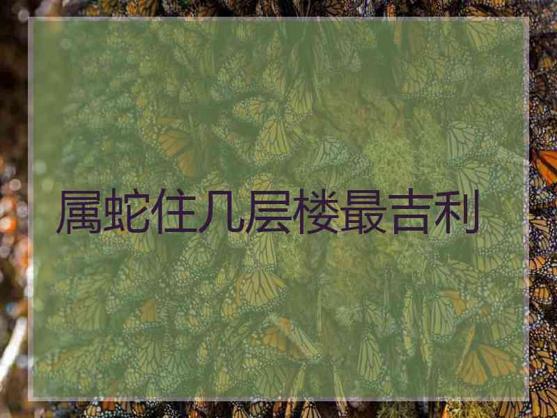 属蛇住几层楼最吉利