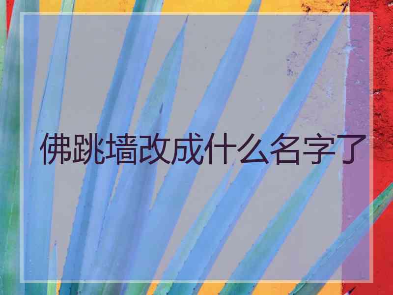佛跳墙改成什么名字了