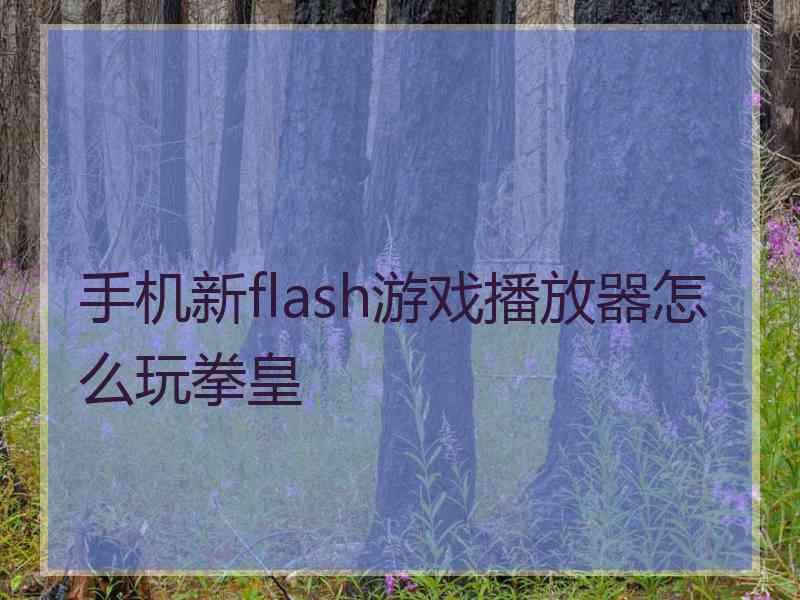 手机新flash游戏播放器怎么玩拳皇