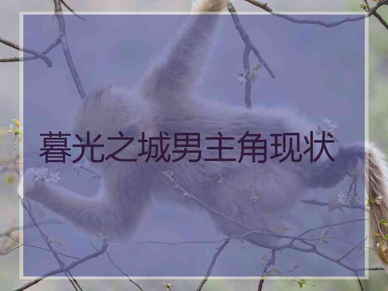 暮光之城男主角现状