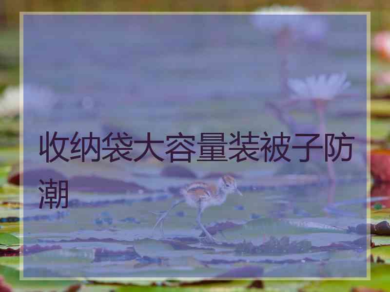 收纳袋大容量装被子防潮