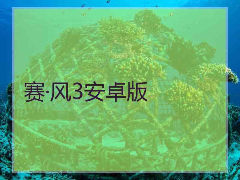 赛·风3安卓版