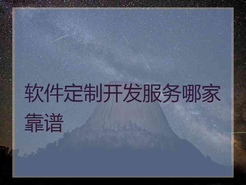 软件定制开发服务哪家靠谱