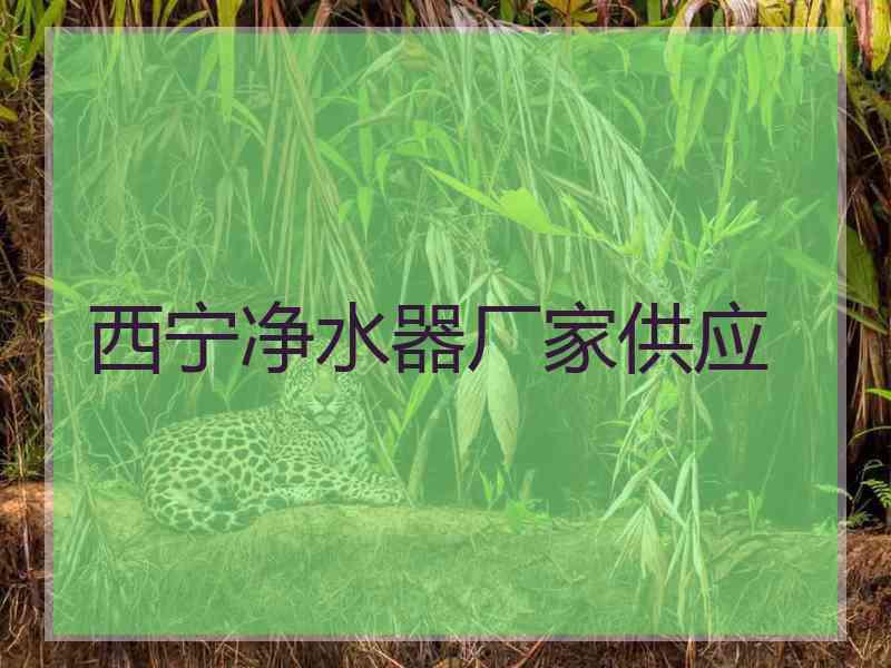 西宁净水器厂家供应